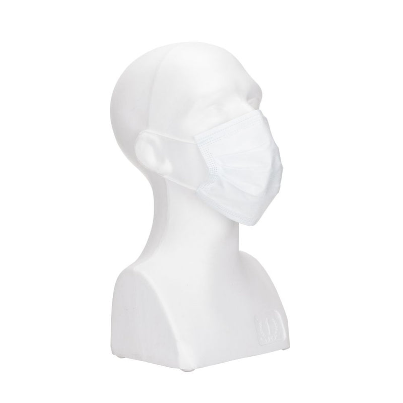 Meltblown Medical Mask - Currved